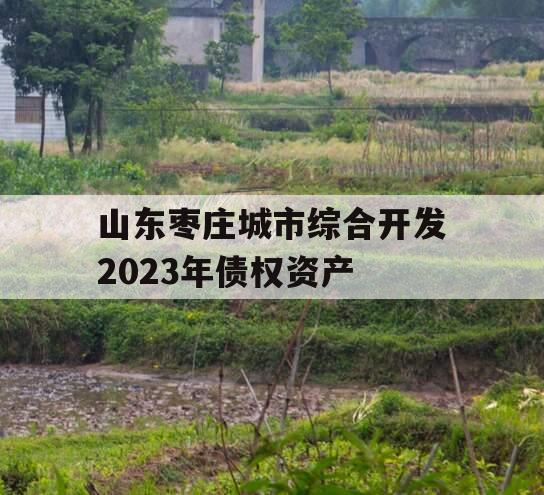 山东枣庄城市综合开发2023年债权资产
