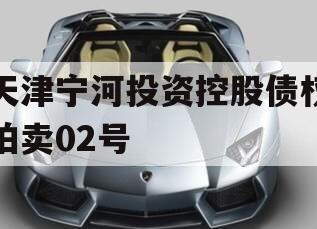 天津宁河投资控股债权拍卖02号 天津宁河投资控股债权拍卖02号