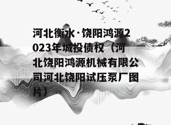 河北衡水·饶阳鸿源2023年城投债权（河北饶阳鸿源机械有限公司河北饶阳试压泵厂图片）