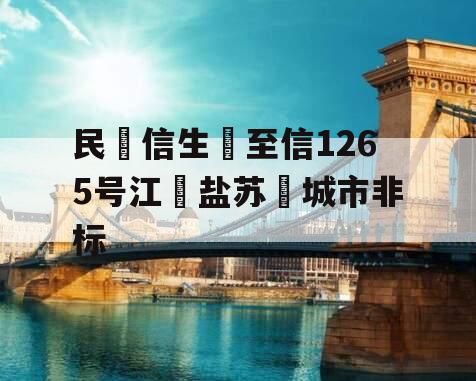 民‮信生‬至信1265号江‮盐苏‬城市非标