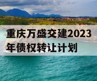 重庆万盛交建2023年债权转让计划