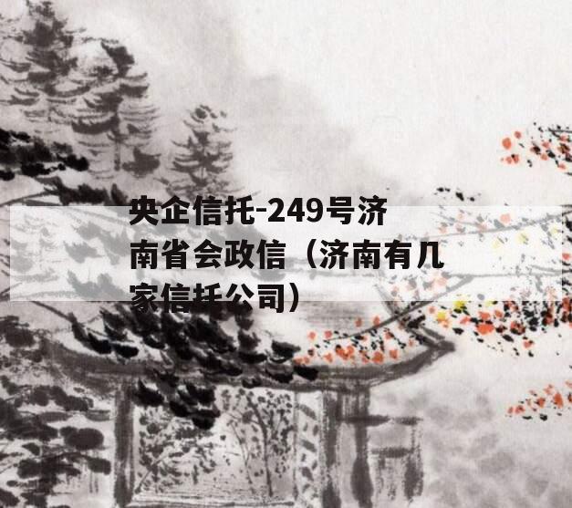 央企信托-249号济南省会政信（济南有几家信托公司）