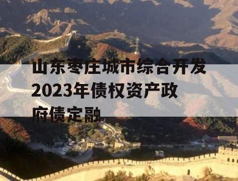 山东枣庄城市综合开发2023年债权资产政府债定融