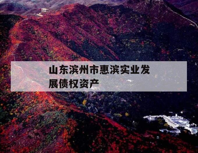 山东滨州市惠滨实业发展债权资产