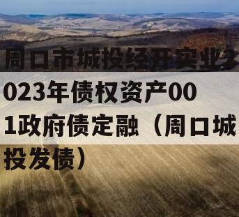 周口市城投经开实业2023年债权资产001政府债定融（周口城投发债）