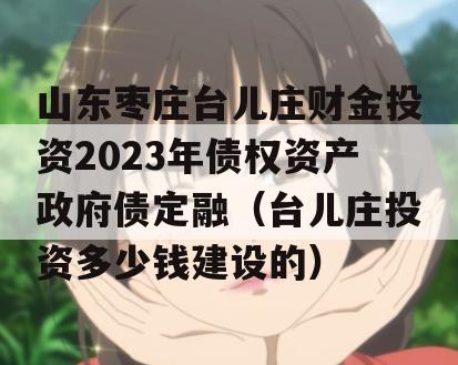 山东枣庄台儿庄财金投资2023年债权资产政府债定融（台儿庄投资多少钱建设的）