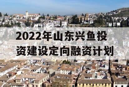 2022年山东兴鱼投资建设定向融资计划