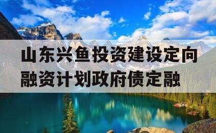 山东兴鱼投资建设定向融资计划政府债定融