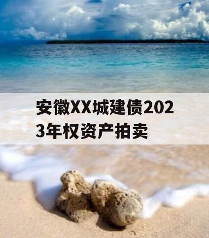 安徽XX城建债2023年权资产拍卖