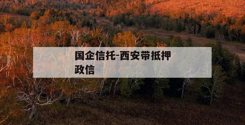 国企信托-西安带抵押政信