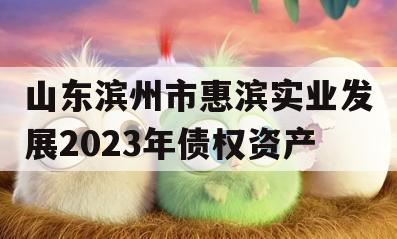 山东滨州市惠滨实业发展2023年债权资产