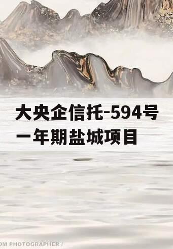 大央企信托-594号一年期盐城项目