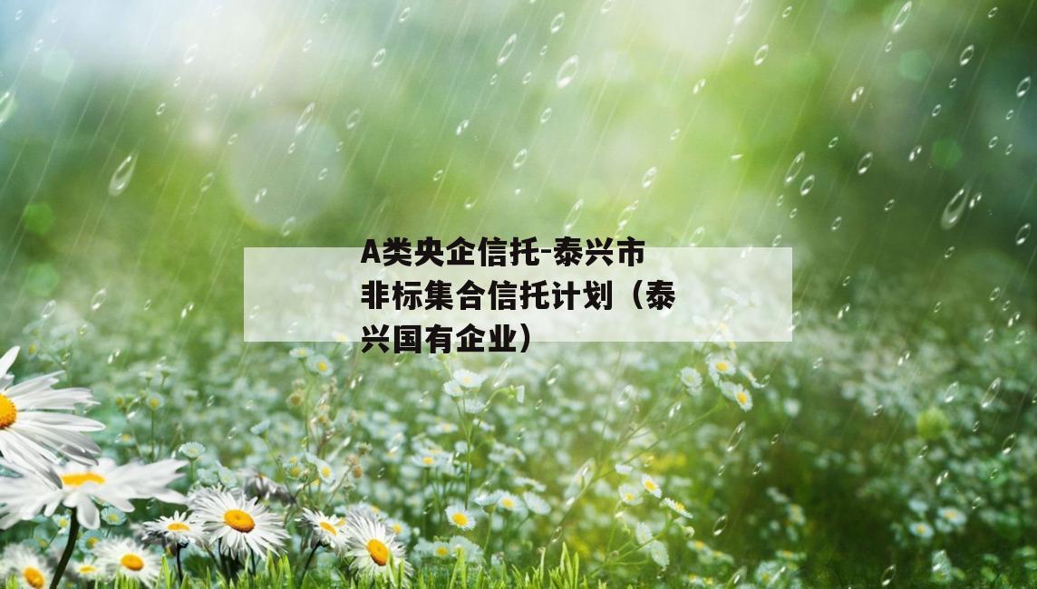 A类央企信托-泰兴市非标集合信托计划（泰兴国有企业）