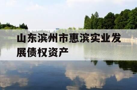 山东滨州市惠滨实业发展债权资产