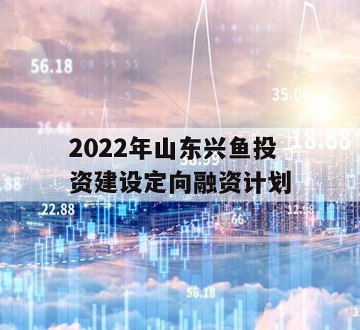 2022年山东兴鱼投资建设定向融资计划