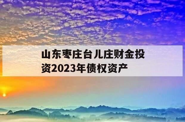 山东枣庄台儿庄财金投资2023年债权资产 山东枣庄台儿庄财金投资2023年债权资产