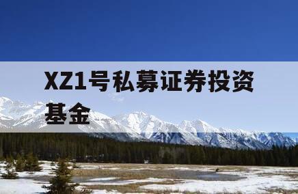 XZ1号私募证券投资基金 XZ1号私募证券投资基金