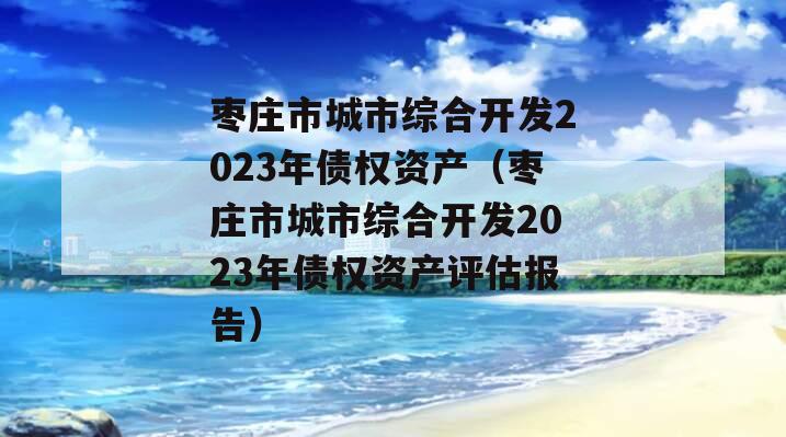 枣庄市城市综合开发2023年债权资产（枣庄市城市综合开发2023年债权资产评估报告）