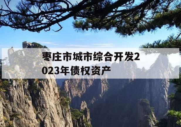 枣庄市城市综合开发2023年债权资产