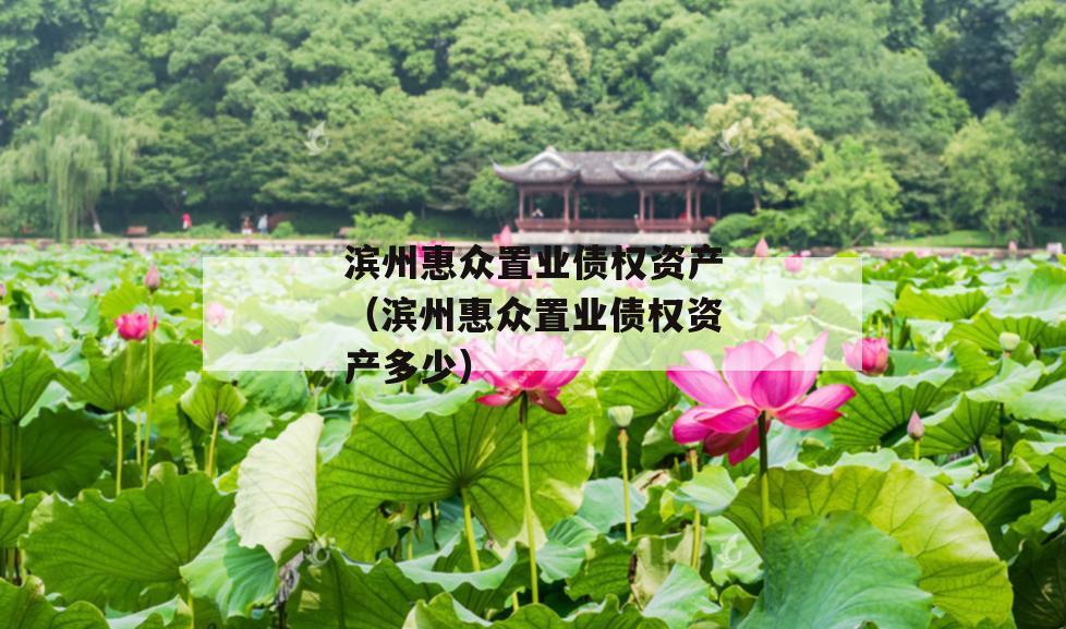 滨州惠众置业债权资产（滨州惠众置业债权资产多少）
