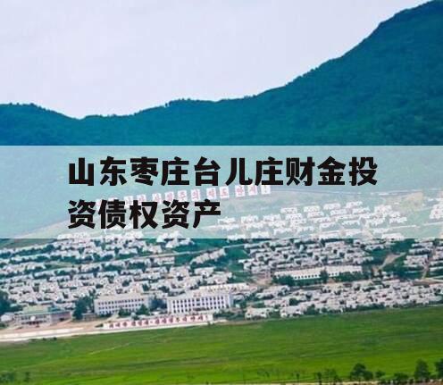 山东枣庄台儿庄财金投资债权资产