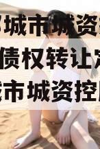 山东邹城市城资控股2023年债权转让定融（邹城市城资控股有限公司）