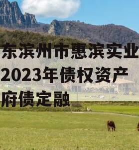 山东滨州市惠滨实业发展2023年债权资产政府债定融
