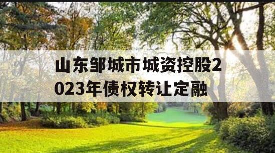 山东邹城市城资控股2023年债权转让定融