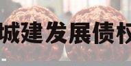 市中城建发展债权项目