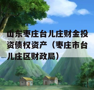 山东枣庄台儿庄财金投资债权资产（枣庄市台儿庄区财政局）