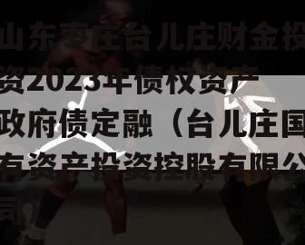 山东枣庄台儿庄财金投资2023年债权资产政府债定融（台儿庄国有资产投资控股有限公司）