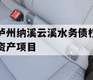 泸州纳溪云溪水务债权资产项目 泸州纳溪云溪水务债权资产项目