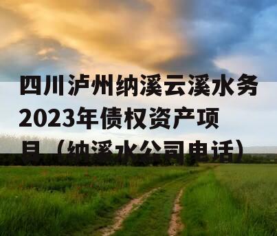 四川泸州纳溪云溪水务2023年债权资产项目（纳溪水公司电话）