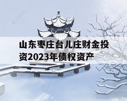 山东枣庄台儿庄财金投资2023年债权资产