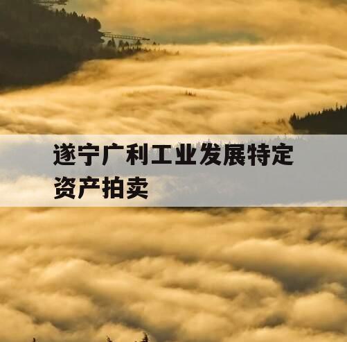 遂宁广利工业发展特定资产拍卖