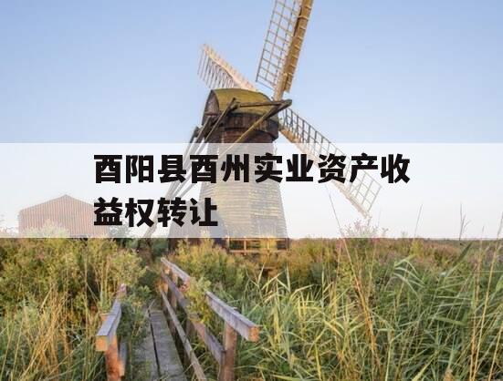 酉阳县酉州实业资产收益权转让