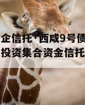 国企信托·西咸9号债权投资集合资金信托计划