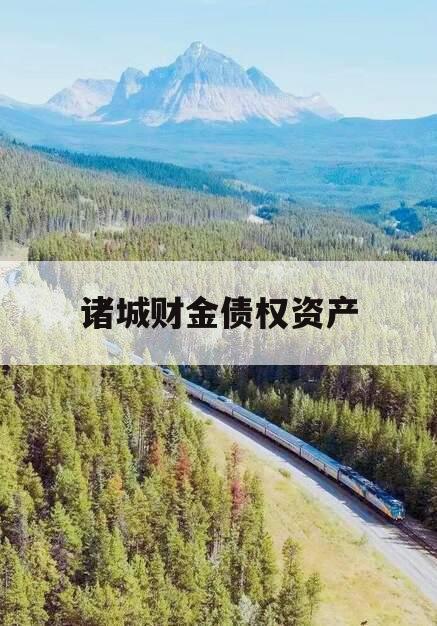 诸城财金债权资产