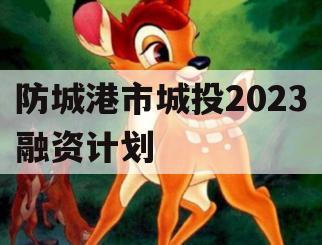防城港市城投2023融资计划