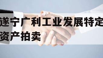 遂宁广利工业发展特定资产拍卖