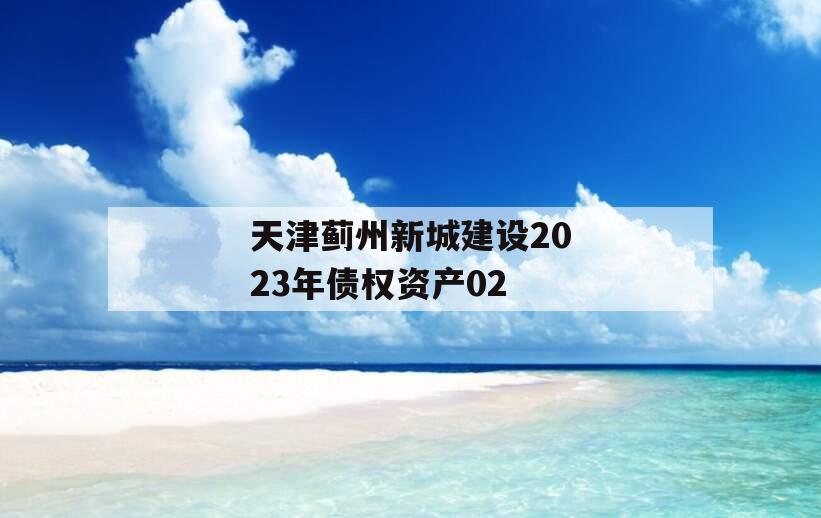 天津蓟州新城建设2023年债权资产02