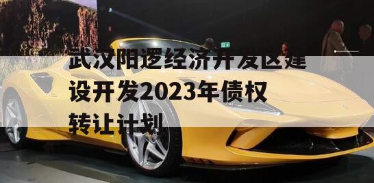 武汉阳逻经济开发区建设开发2023年债权转让计划