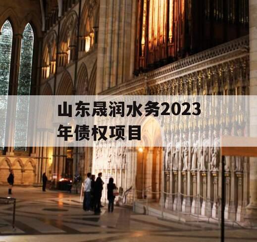 山东晟润水务2023年债权项目