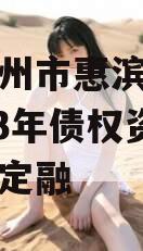 山东滨州市惠滨实业发展2023年债权资产政府债定融