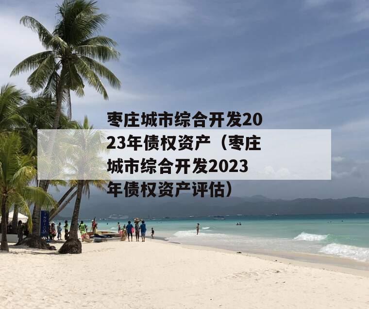 枣庄城市综合开发2023年债权资产（枣庄城市综合开发2023年债权资产评估）