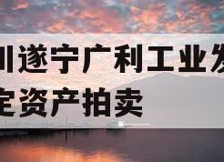 四川遂宁广利工业发展特定资产拍卖 四川遂宁广利工业发展特定资产拍卖