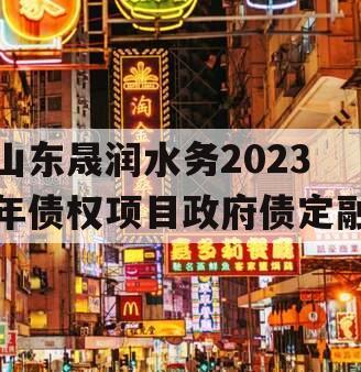 山东晟润水务2023年债权项目政府债定融