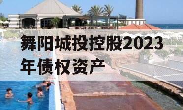 舞阳城投控股2023年债权资产