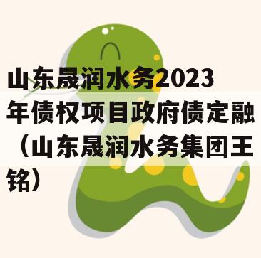 山东晟润水务2023年债权项目政府债定融（山东晟润水务集团王铭）