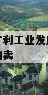 遂宁广利工业发展特定资产拍卖